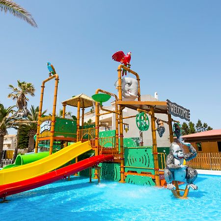 קאלה אן בלאנס Globales Los Delfines מראה חיצוני תמונה